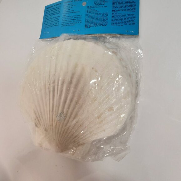 Vintage Set of 6 Clam Shells, Baking, Serving Dishes – Unused, Still Packaged - Picture 2 of 6